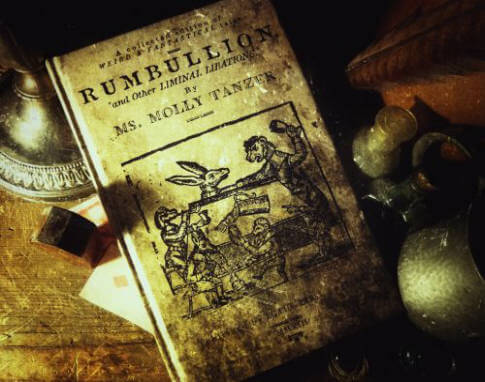 Molly Tanzer Rumbullion and Other Liminal Libations book cover
